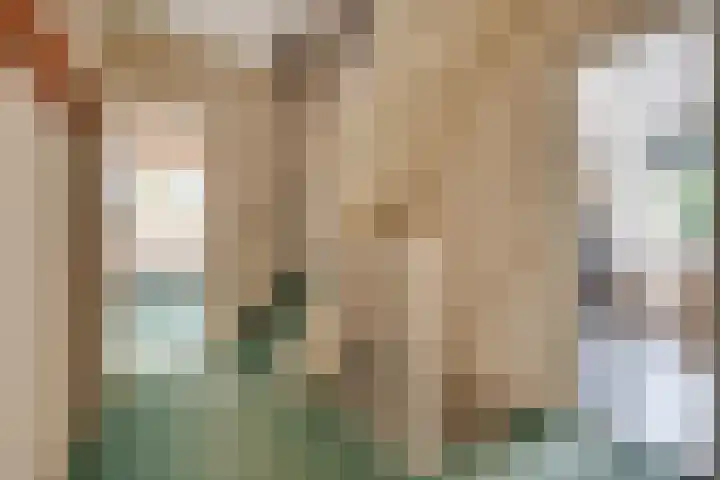 Sandenburglaan 5 Helmond thumbnail 26