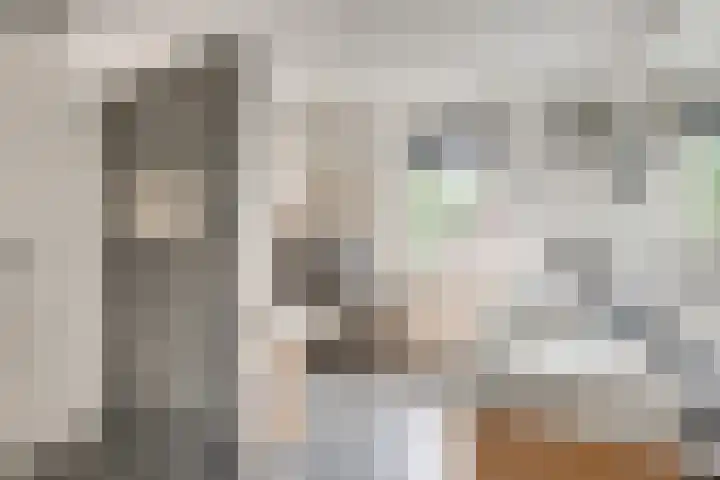 Sandenburglaan 5 Helmond thumbnail 31