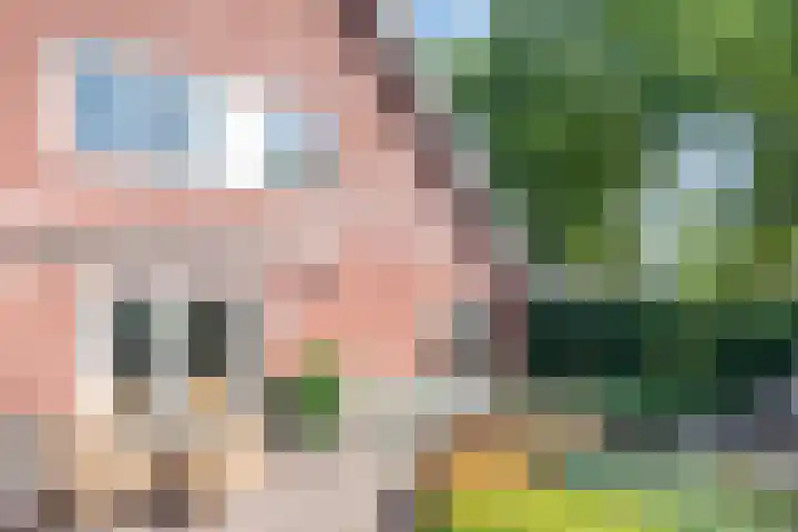Sandenburglaan 5 Helmond thumbnail 40