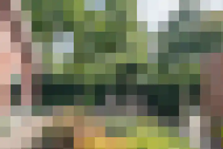 Sandenburglaan 5 Helmond thumbnail 42