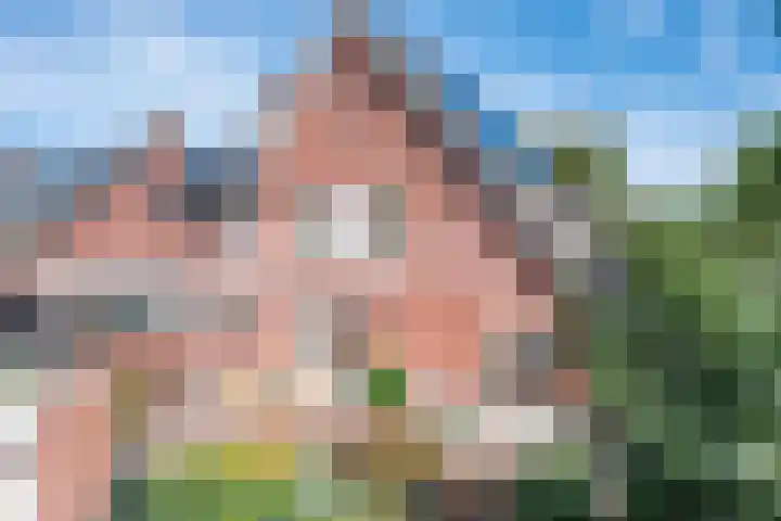 Sandenburglaan 5 Helmond thumbnail 43