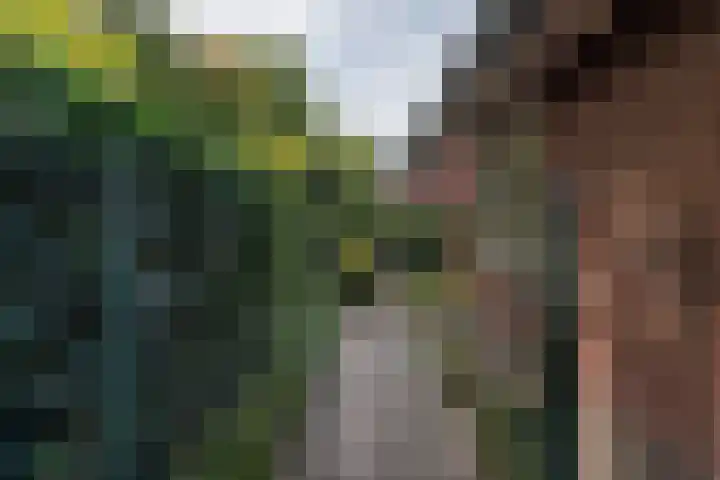 Sandenburglaan 5 Helmond thumbnail 46