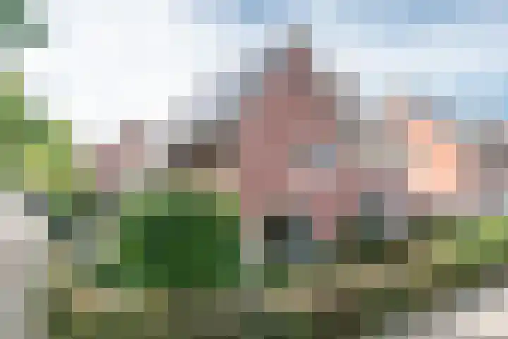 Sandenburglaan 5 Helmond thumbnail 8