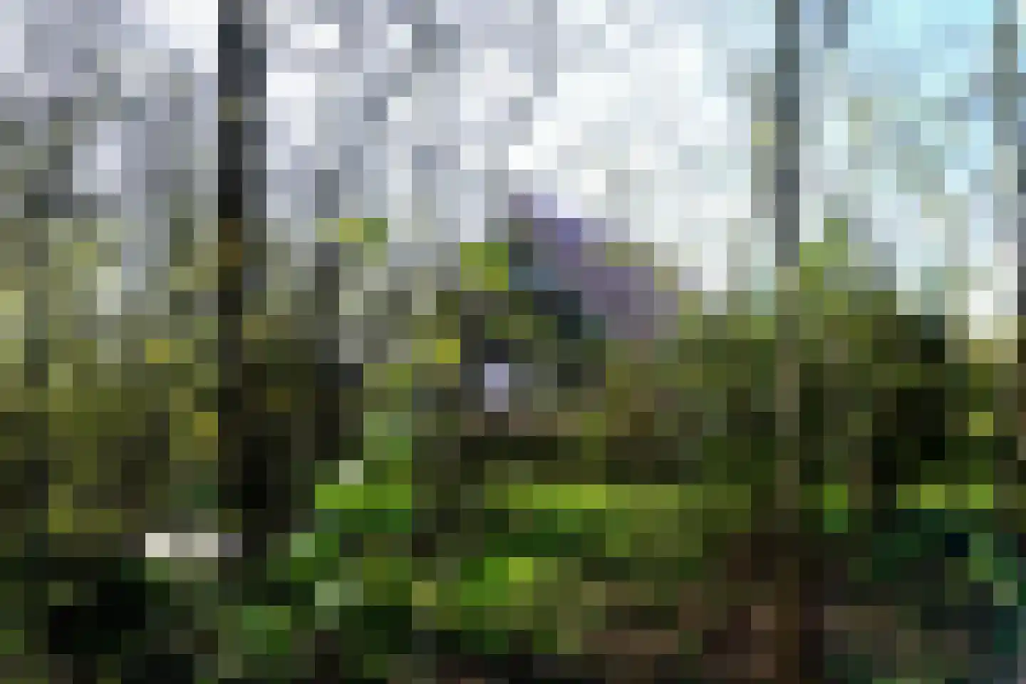 Sandepark 122 Callantsoog thumbnail 19