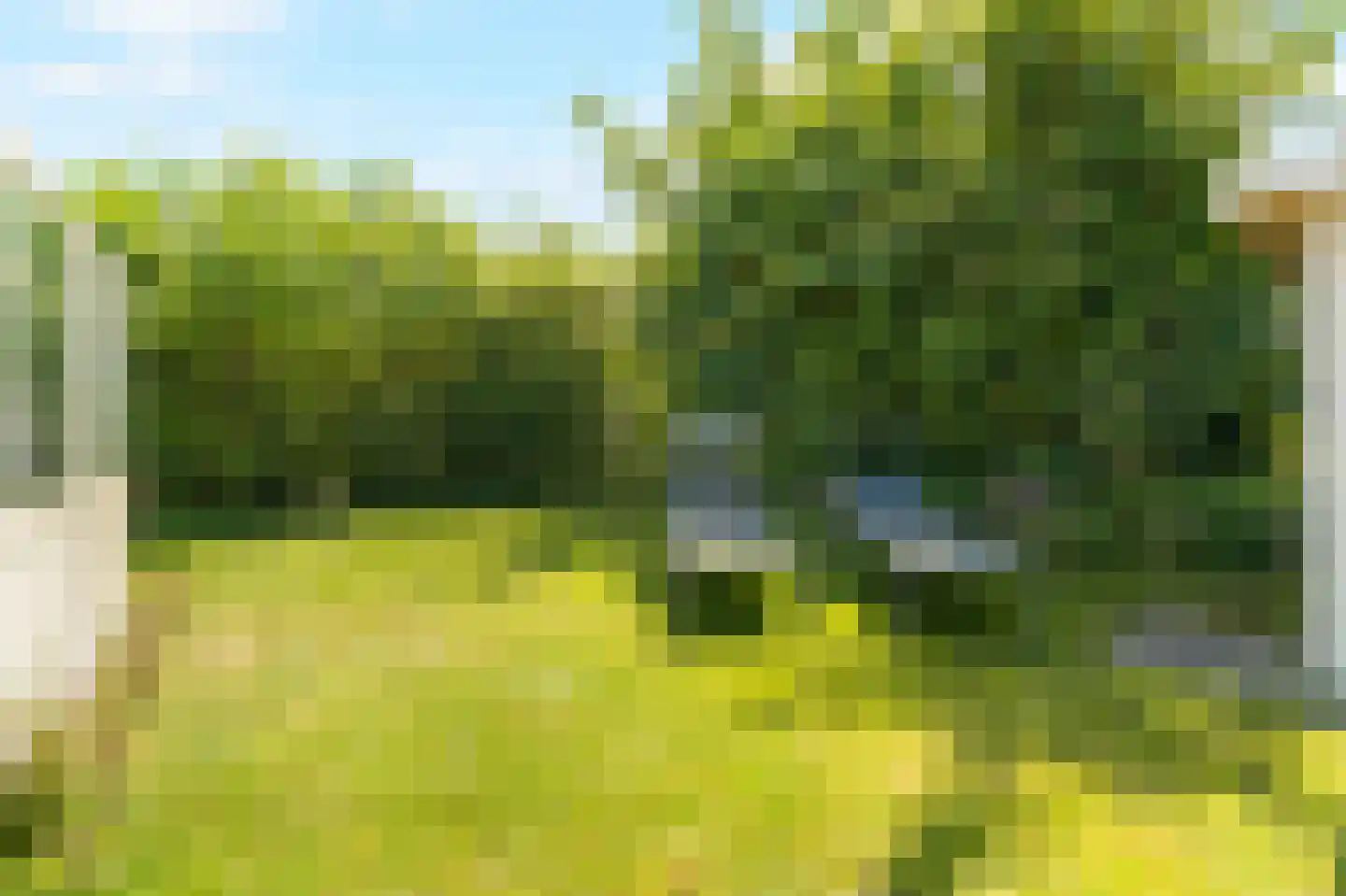 Sandepark 139 Callantsoog thumbnail 21
