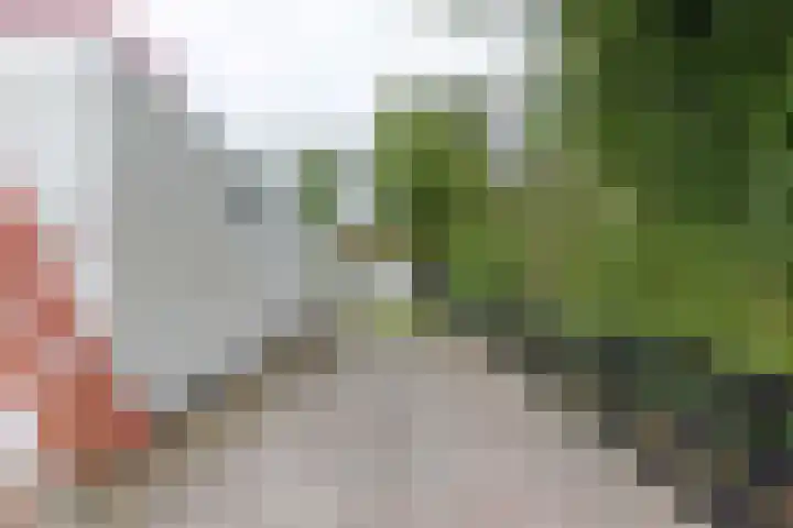 Sandepark 45 Callantsoog thumbnail 30