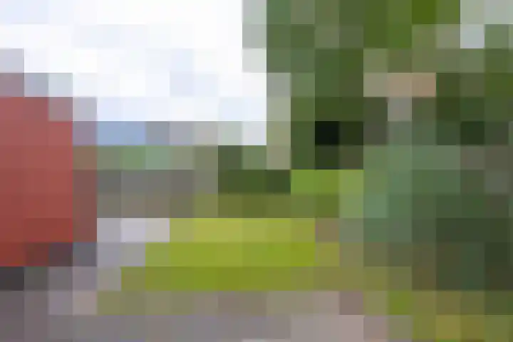 Sandepark 45 Callantsoog thumbnail 33