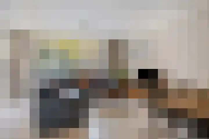 Sandepark 45 Callantsoog thumbnail 35