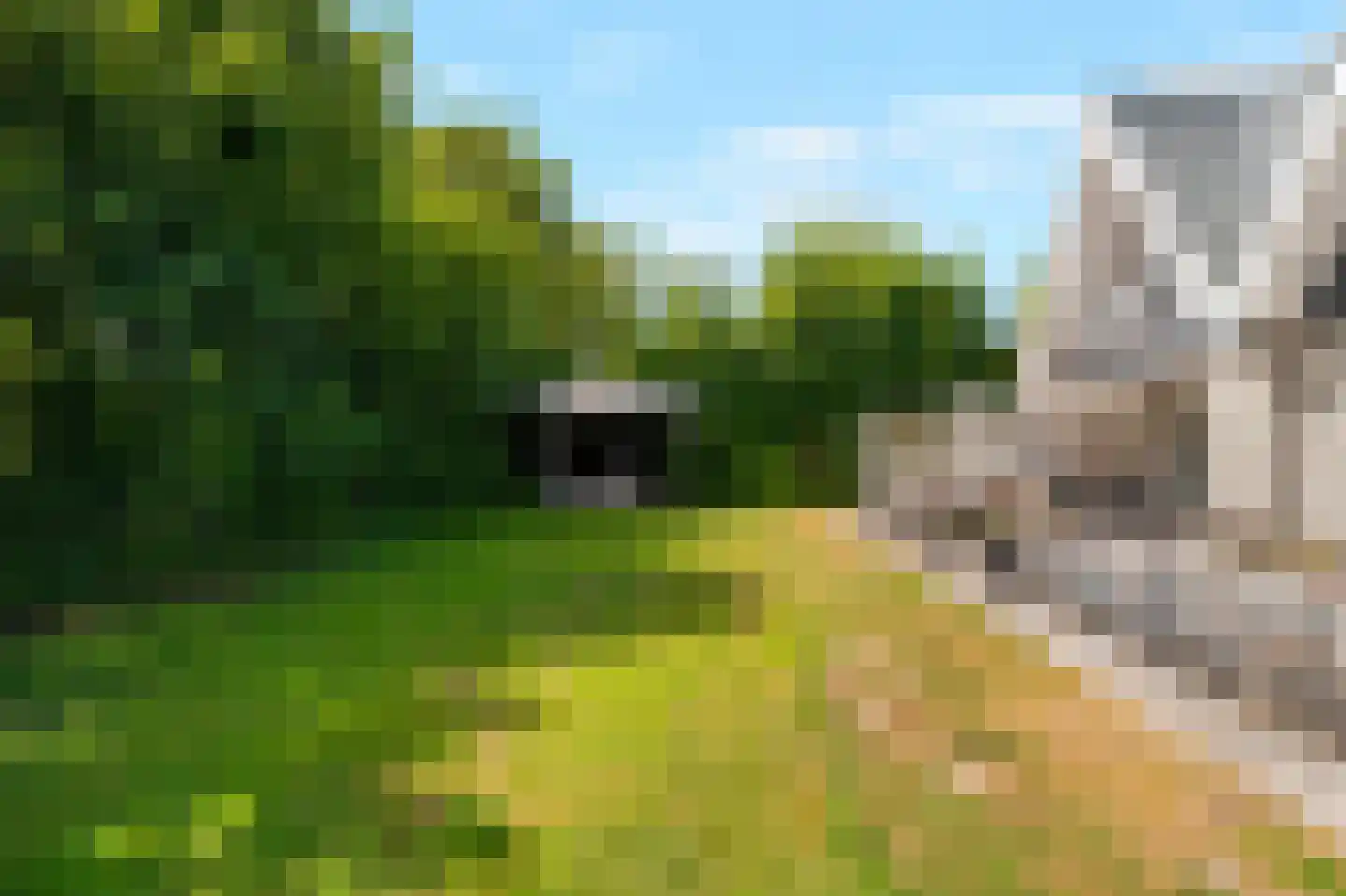 Sandepark 9 Callantsoog thumbnail 28