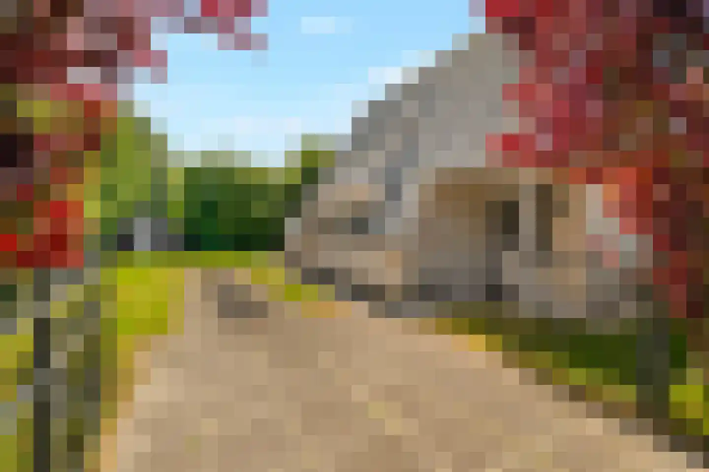 Sandepark 9 Callantsoog thumbnail 31