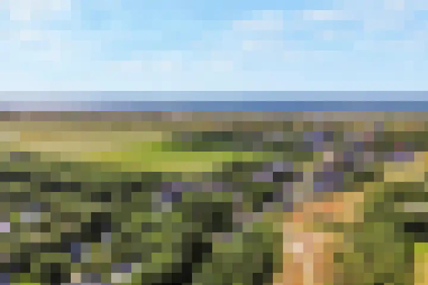 Sandepark 9 Callantsoog thumbnail 35