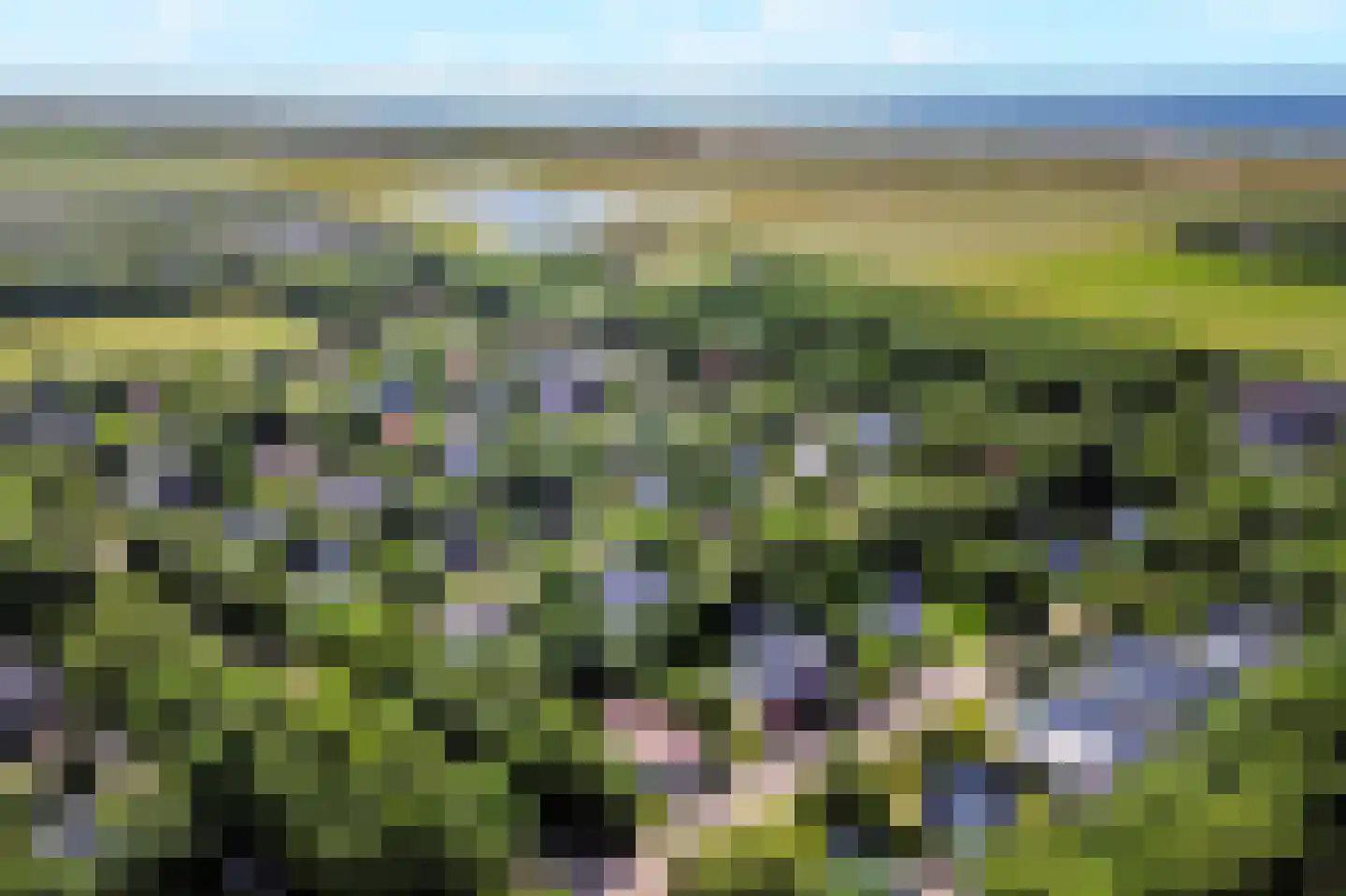 Sandepark 9 Callantsoog thumbnail 37