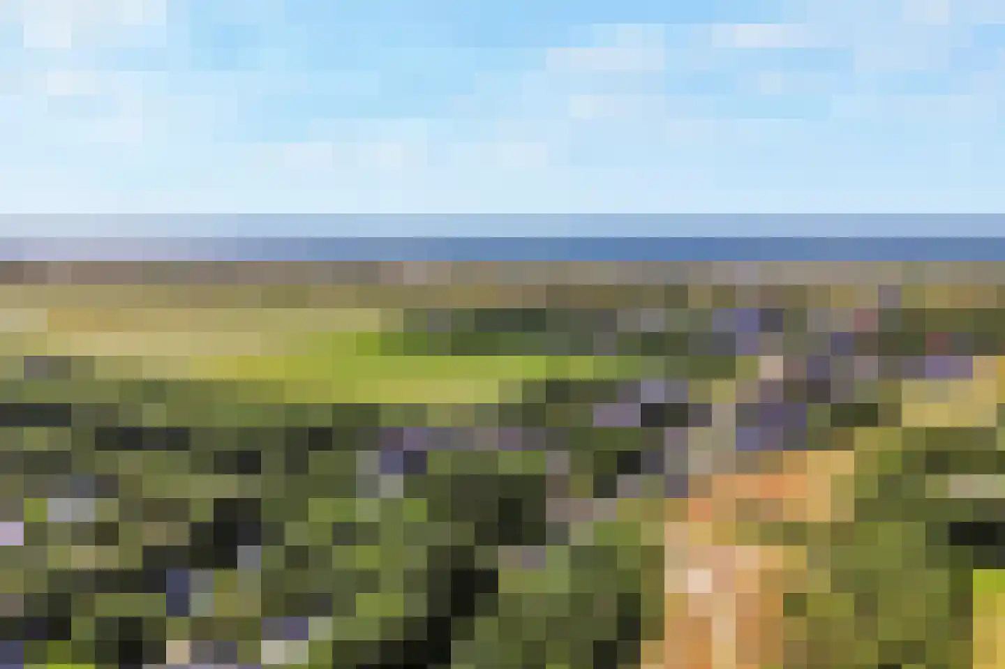 Sandepark 9 Callantsoog thumbnail 39