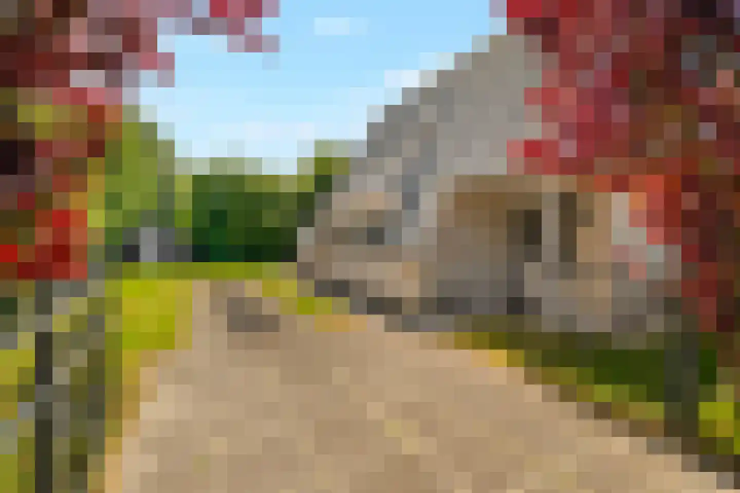 Sandepark 9 Callantsoog thumbnail 4