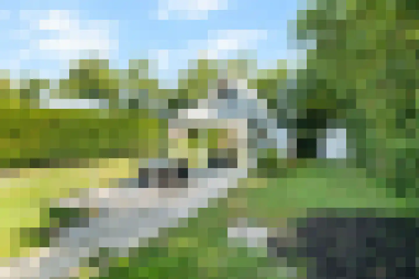 Sandepark 92 Callantsoog thumbnail 28