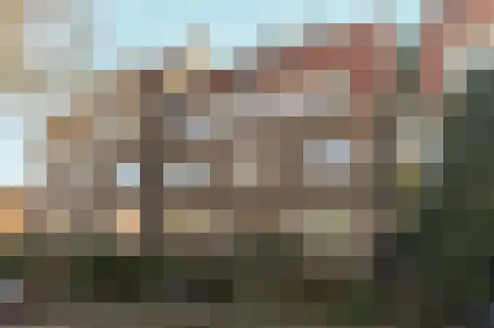 Photo of Sander Meeboer