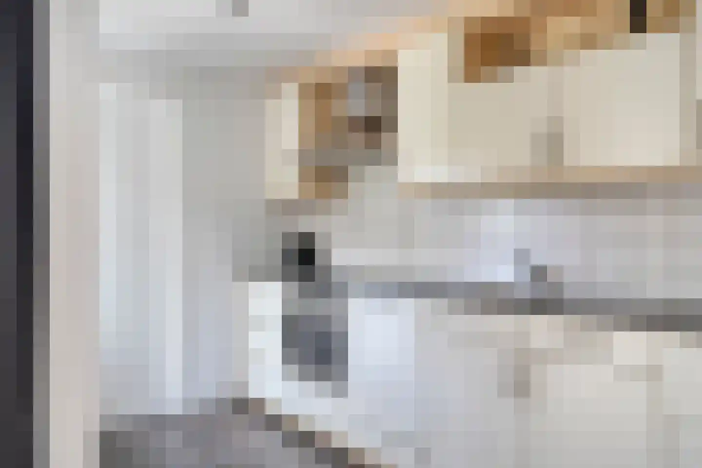 Sanderboutlaan 24 Stein thumbnail 16