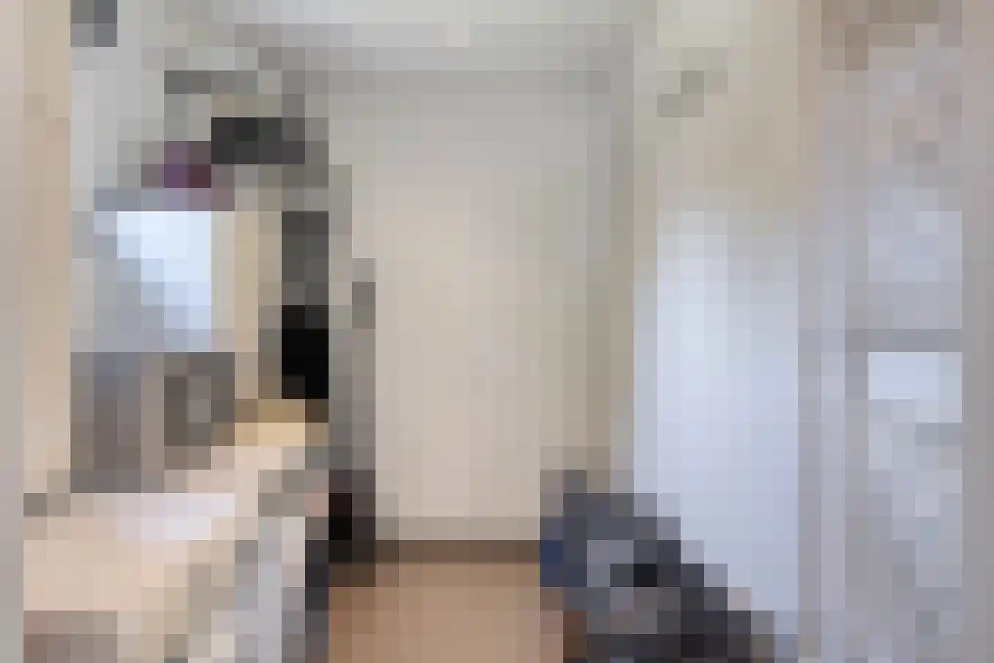 Sanderboutlaan 24 Stein thumbnail 19