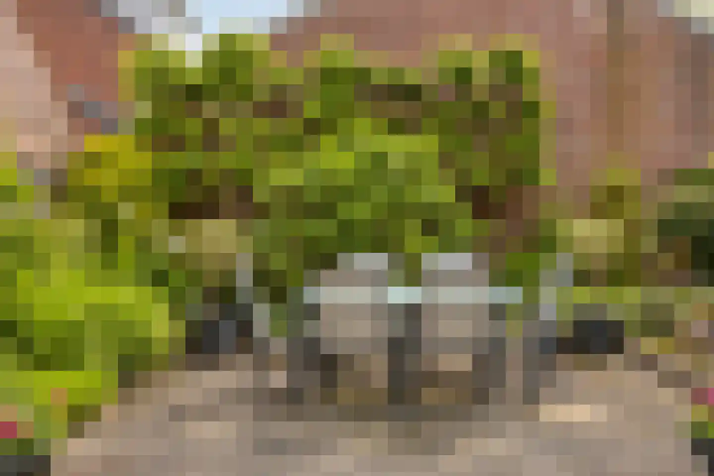 Sanderboutlaan 24 Stein thumbnail 38