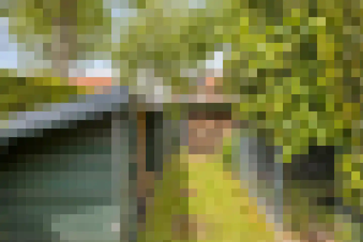 Sanderboutlaan 24 Stein thumbnail 42