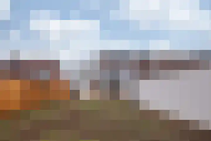 Sanderboutlaan 45 Stein thumbnail 23