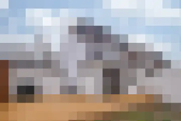 Sanderboutlaan 45 Stein thumbnail 24