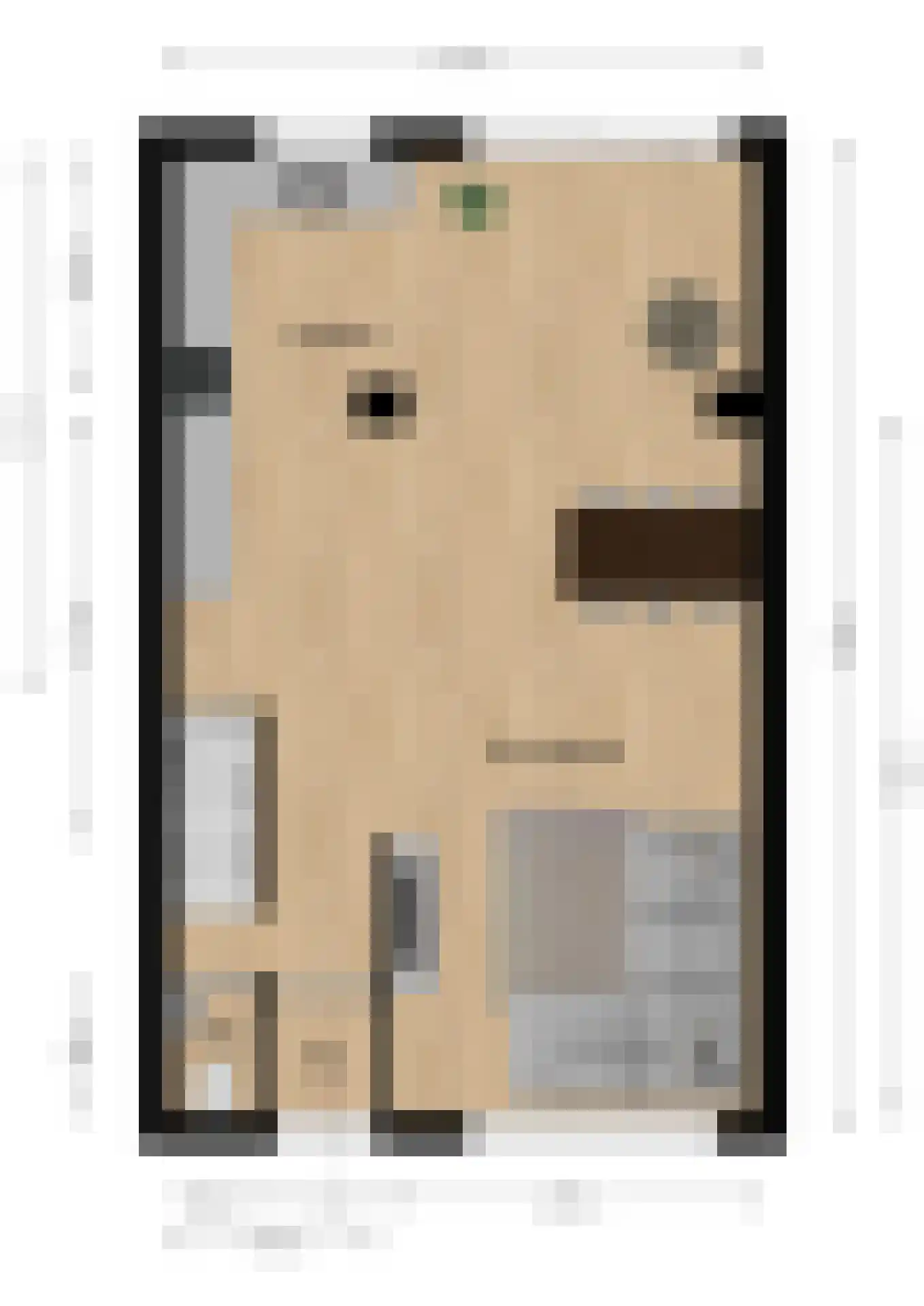 Sanderboutlaan 45 Stein thumbnail 29