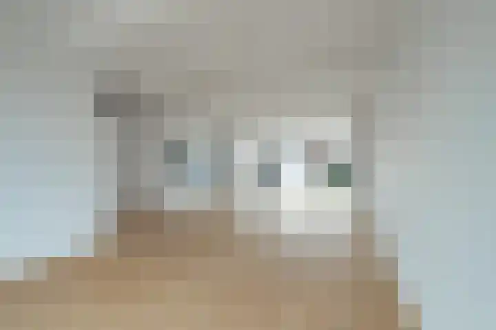 Sanderboutlaan 45 Stein thumbnail 8