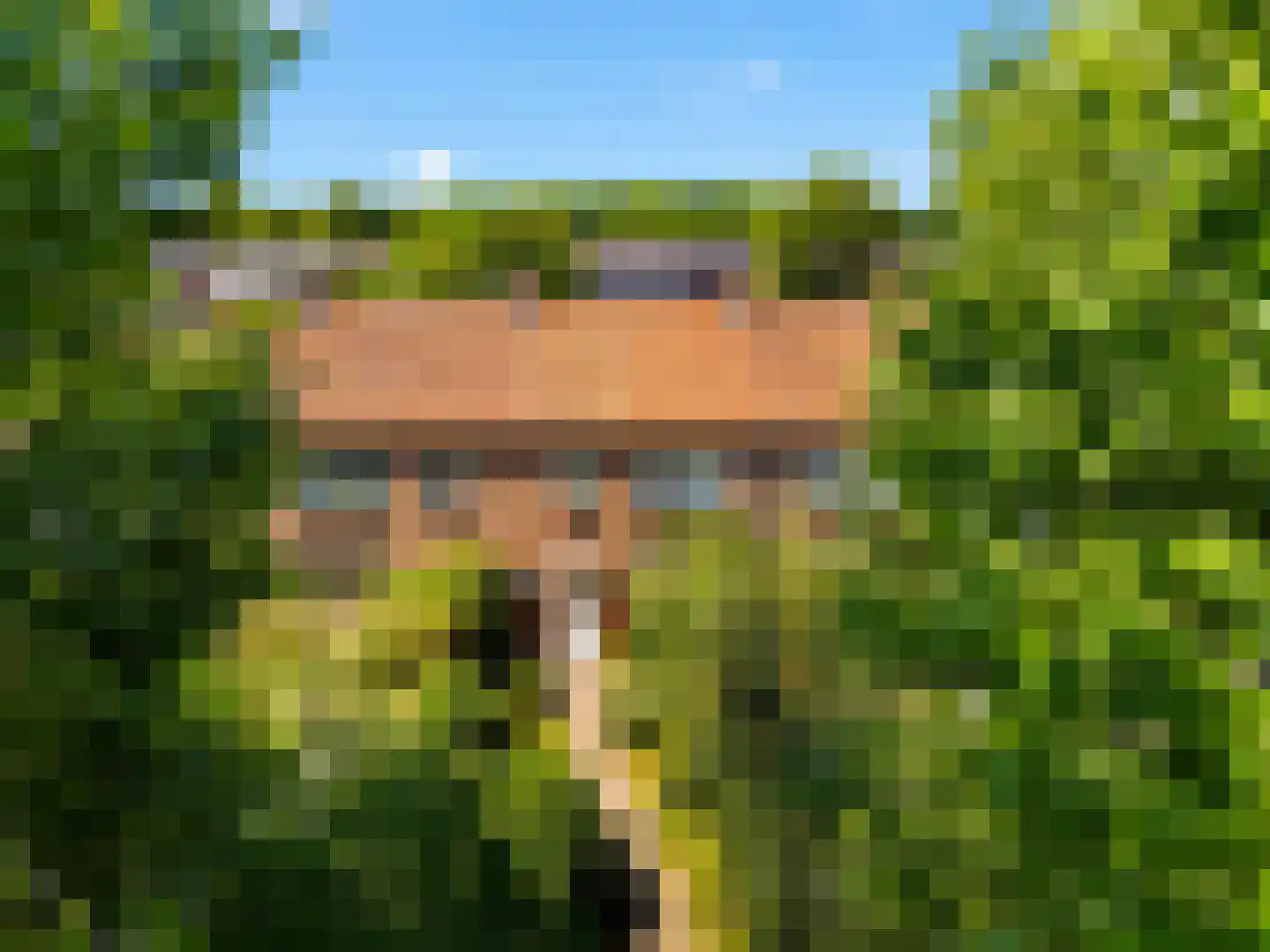 Sanderboutlaan 49 Stein