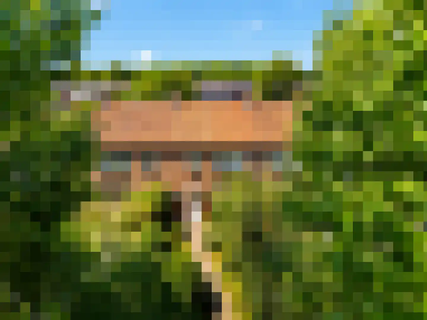 Sanderboutlaan 49 Stein