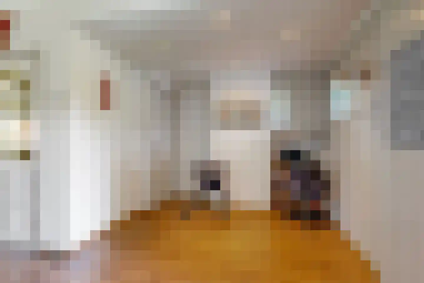 Sanderboutlaan 49 Stein thumbnail 11