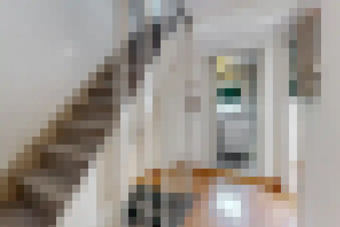 Sanderboutlaan 49 Stein thumbnail 12