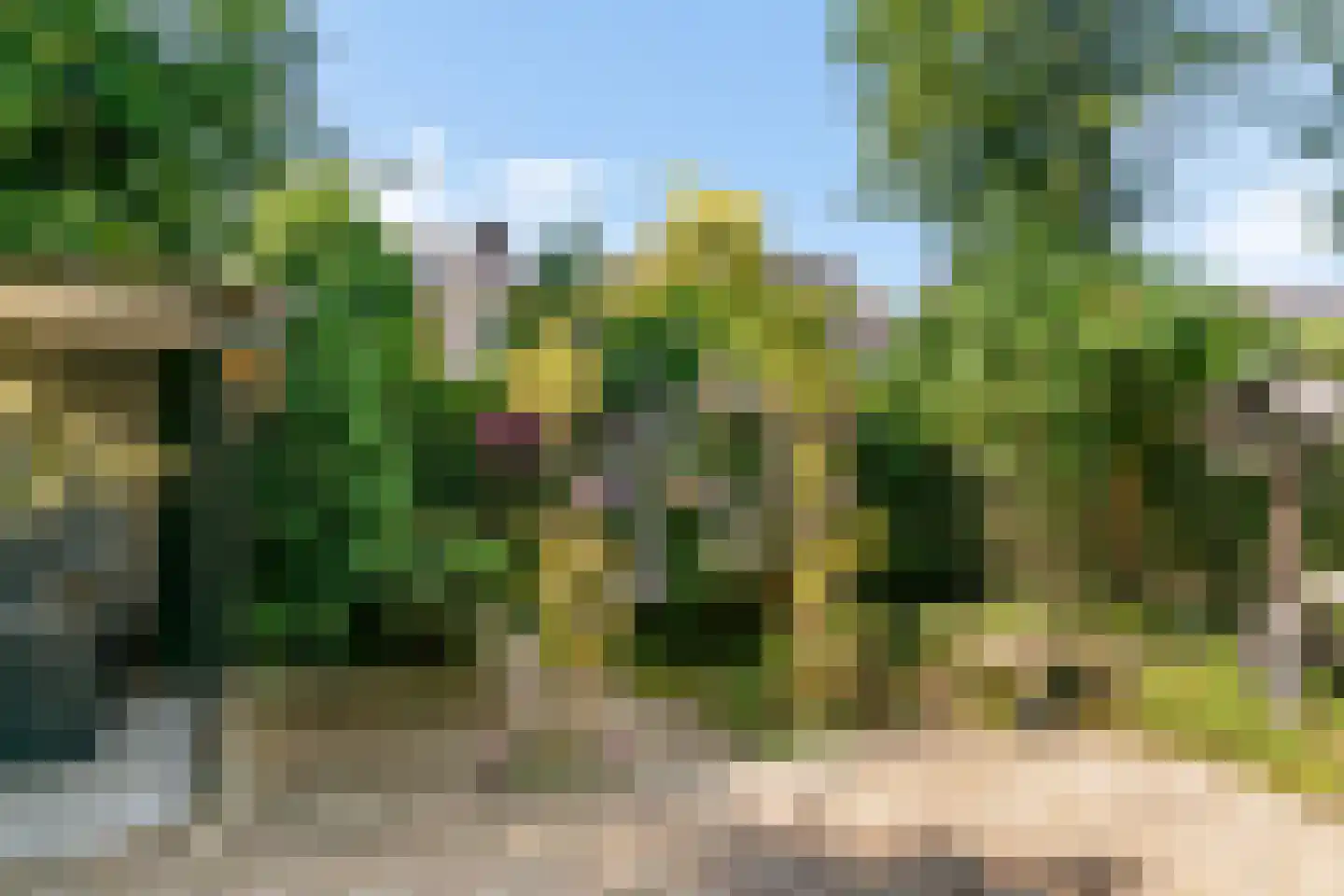 Sanderboutlaan 49 Stein thumbnail 24