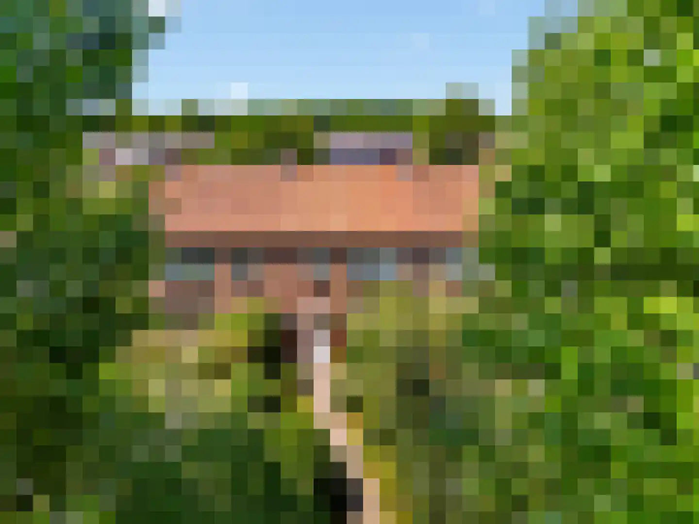 Sanderboutlaan 49 Stein thumbnail 31