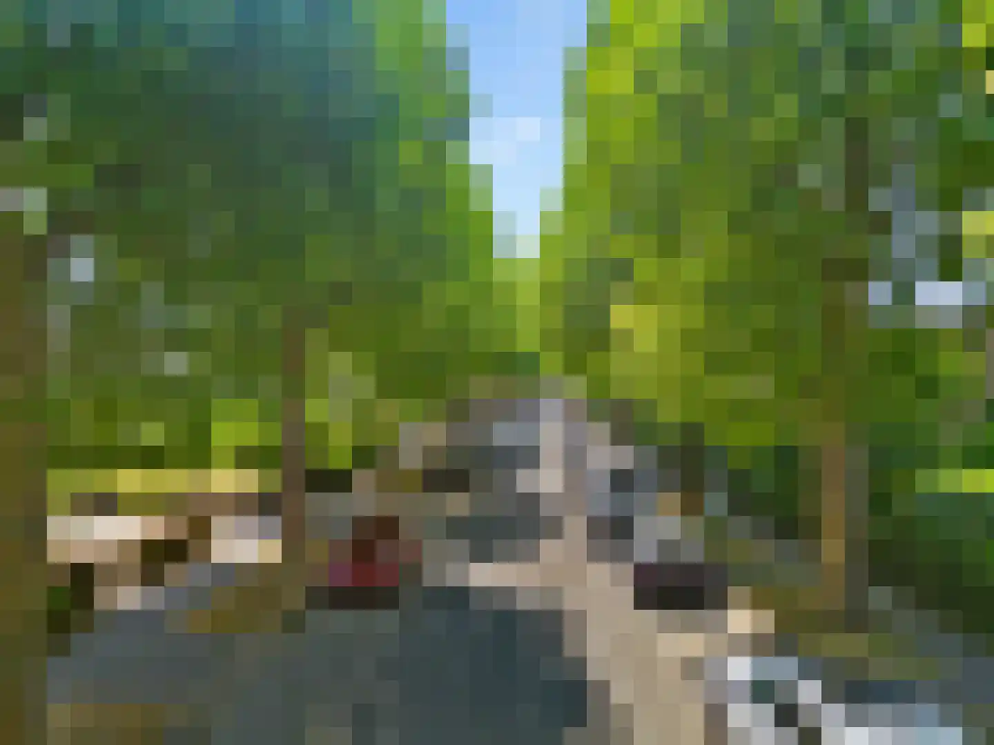 Sanderboutlaan 49 Stein thumbnail 32