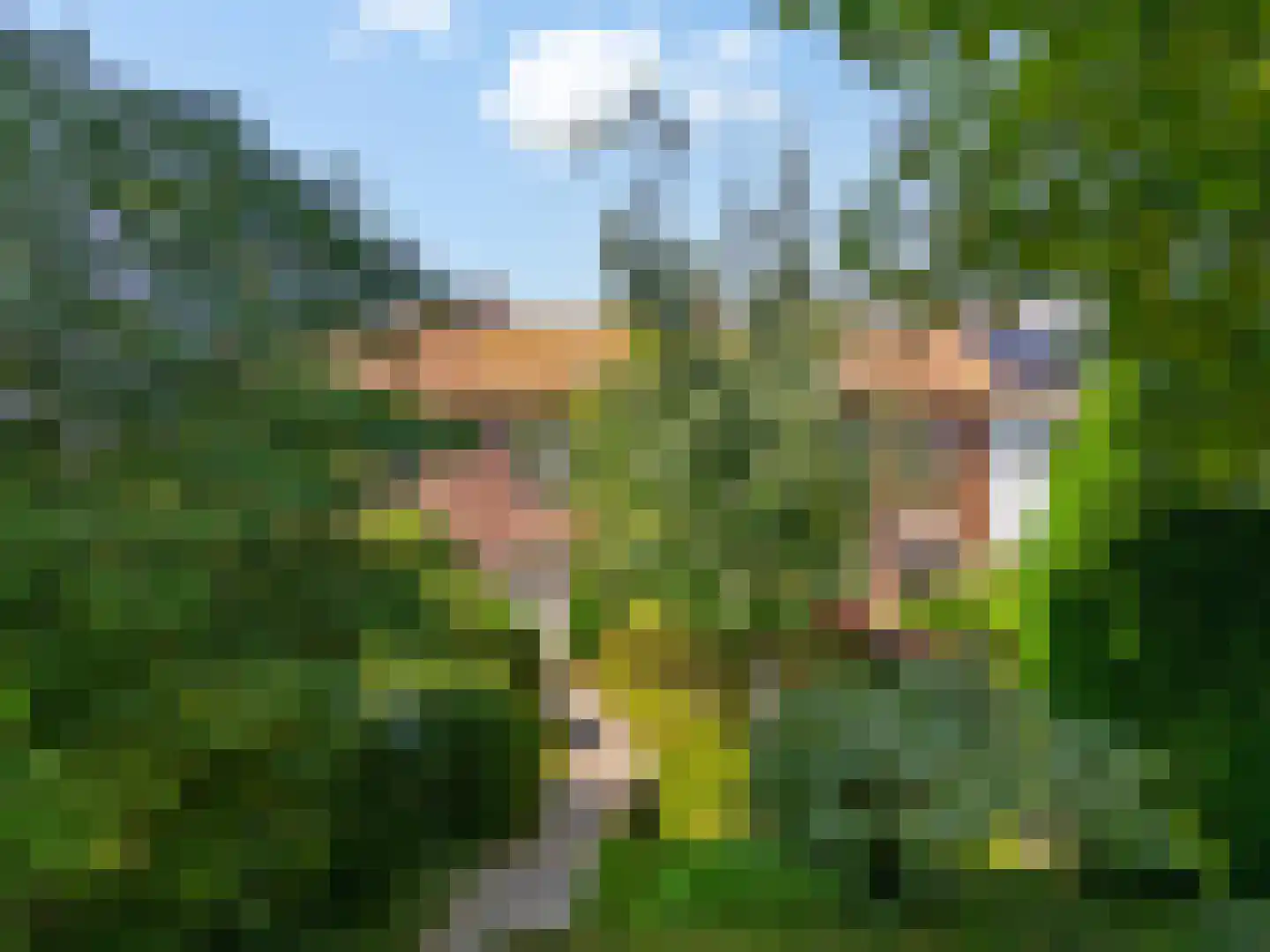 Sanderboutlaan 49 Stein thumbnail 4
