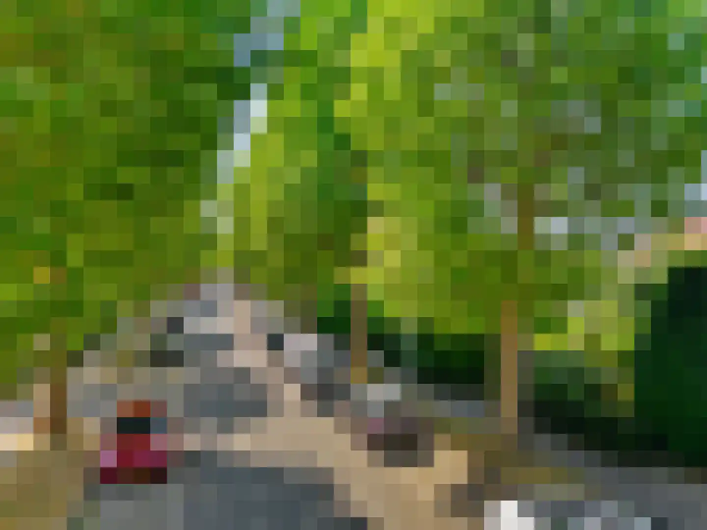 Sanderboutlaan 49 Stein thumbnail 5