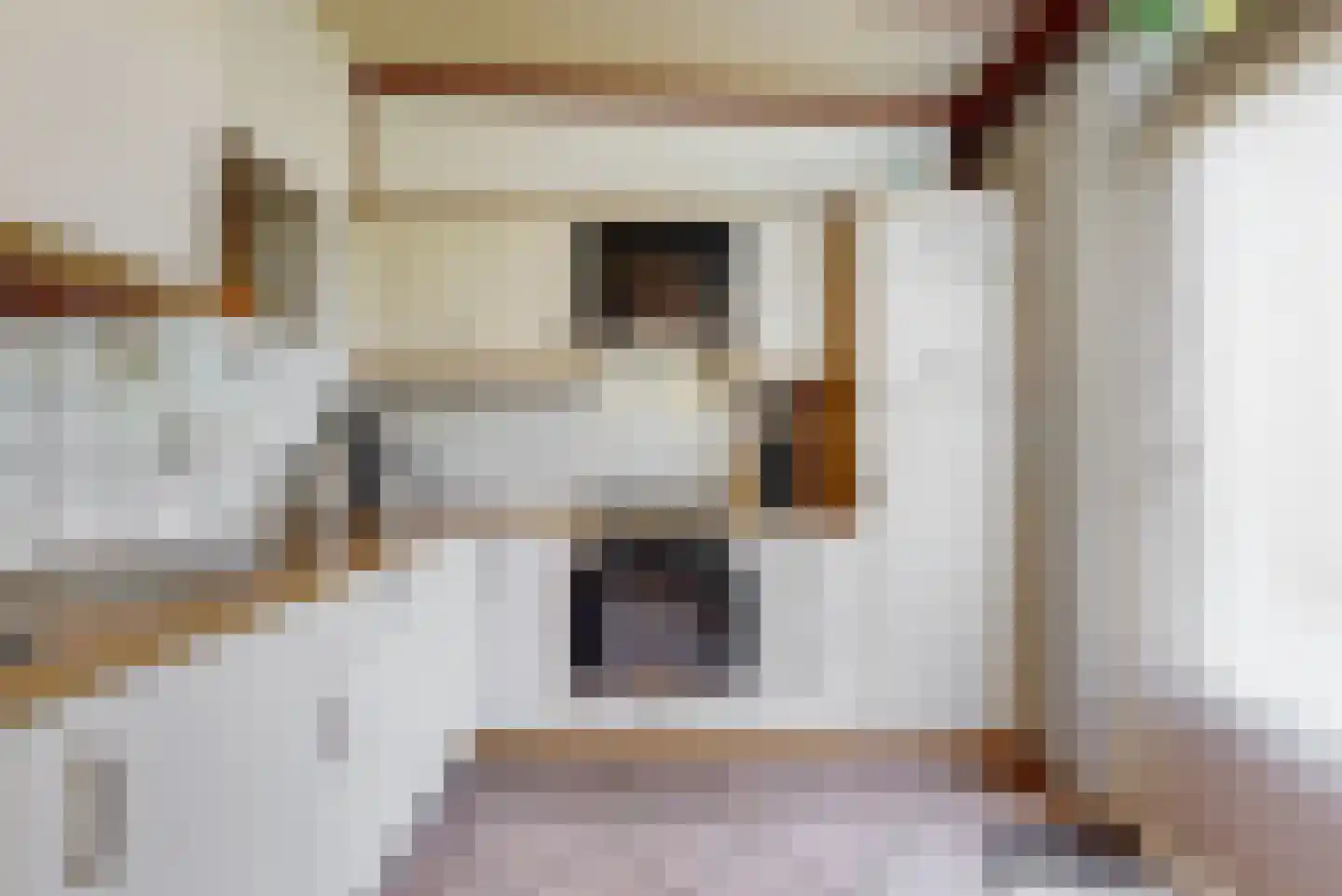 Sanderboutlaan 49 Stein thumbnail 9