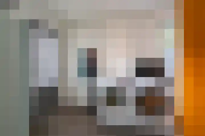 Sanderboutlaan 72 Stein thumbnail 11