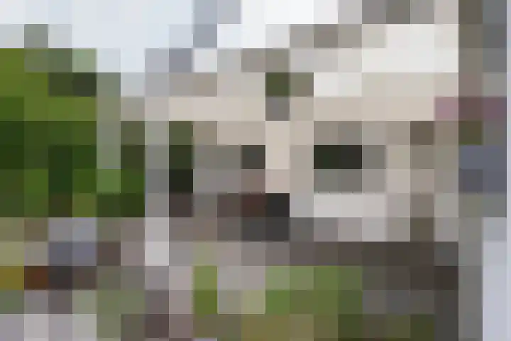 Sanderboutlaan 72 Stein thumbnail 24