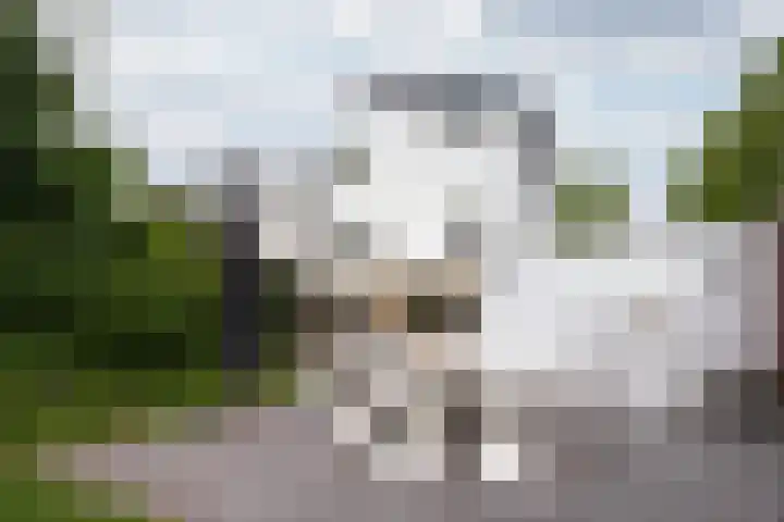 Sanderboutlaan 72 Stein thumbnail 25
