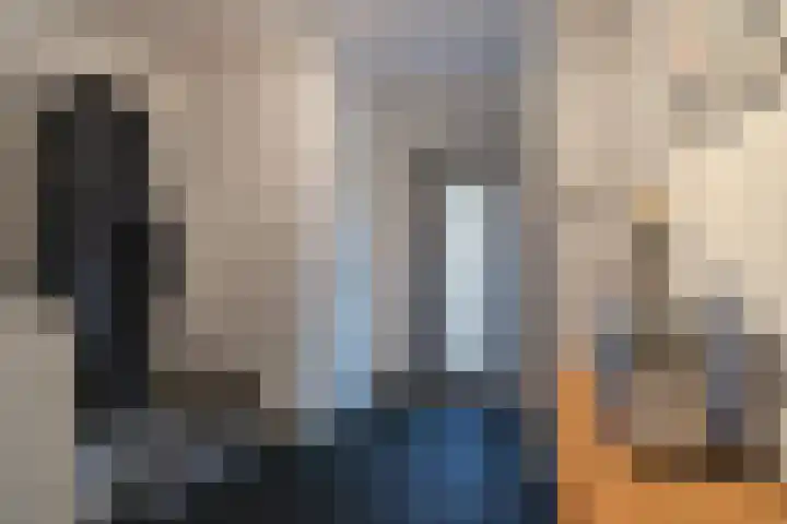 Sanderboutlaan 72 Stein thumbnail 4
