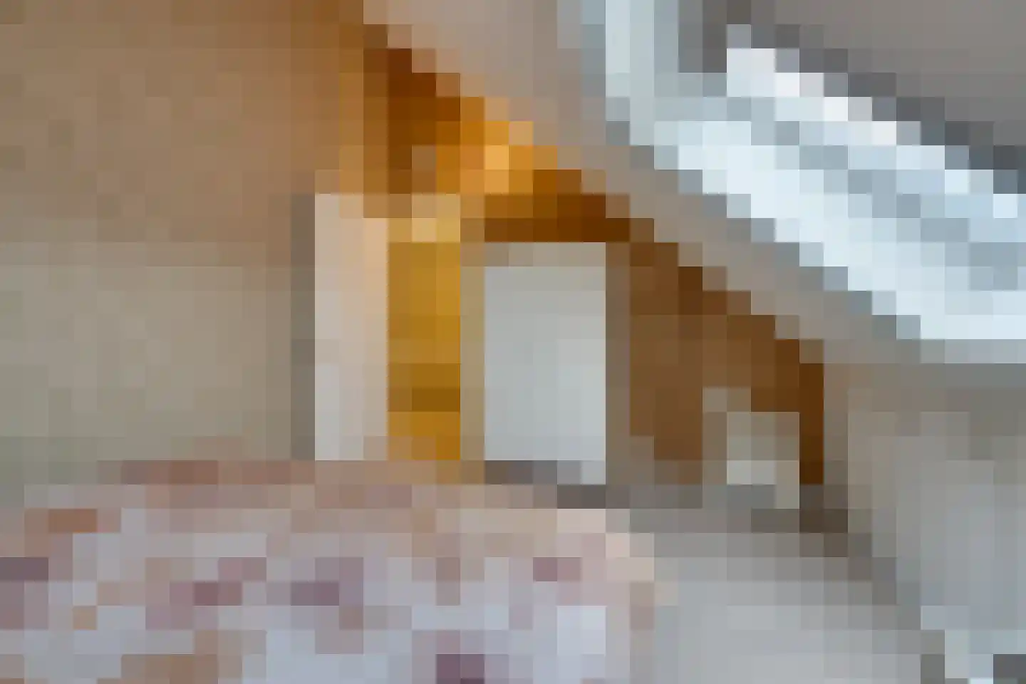Sanderboutlaan 8 Elsloo