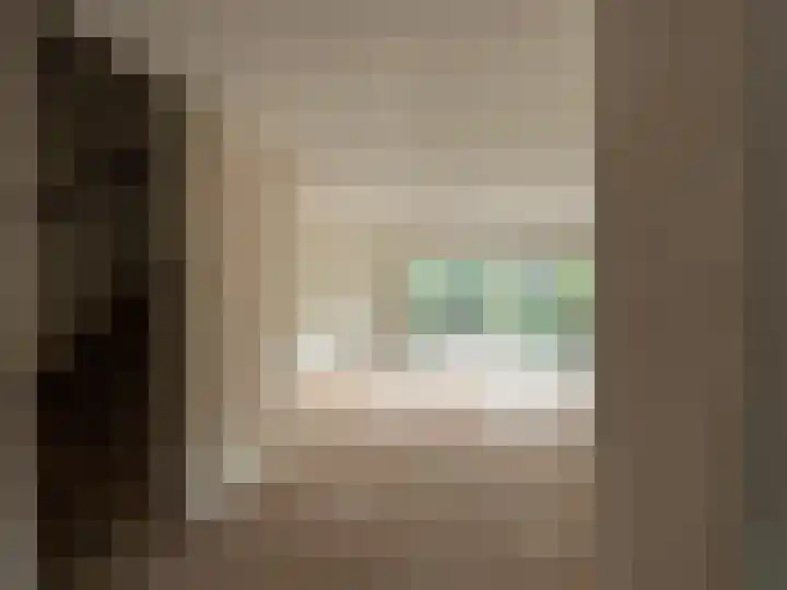 Sanderboutlaan 8 Elsloo thumbnail 11