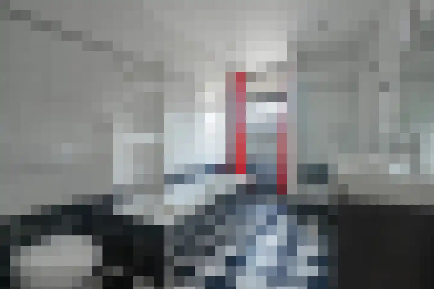Sanderboutlaan 8 Elsloo thumbnail 13