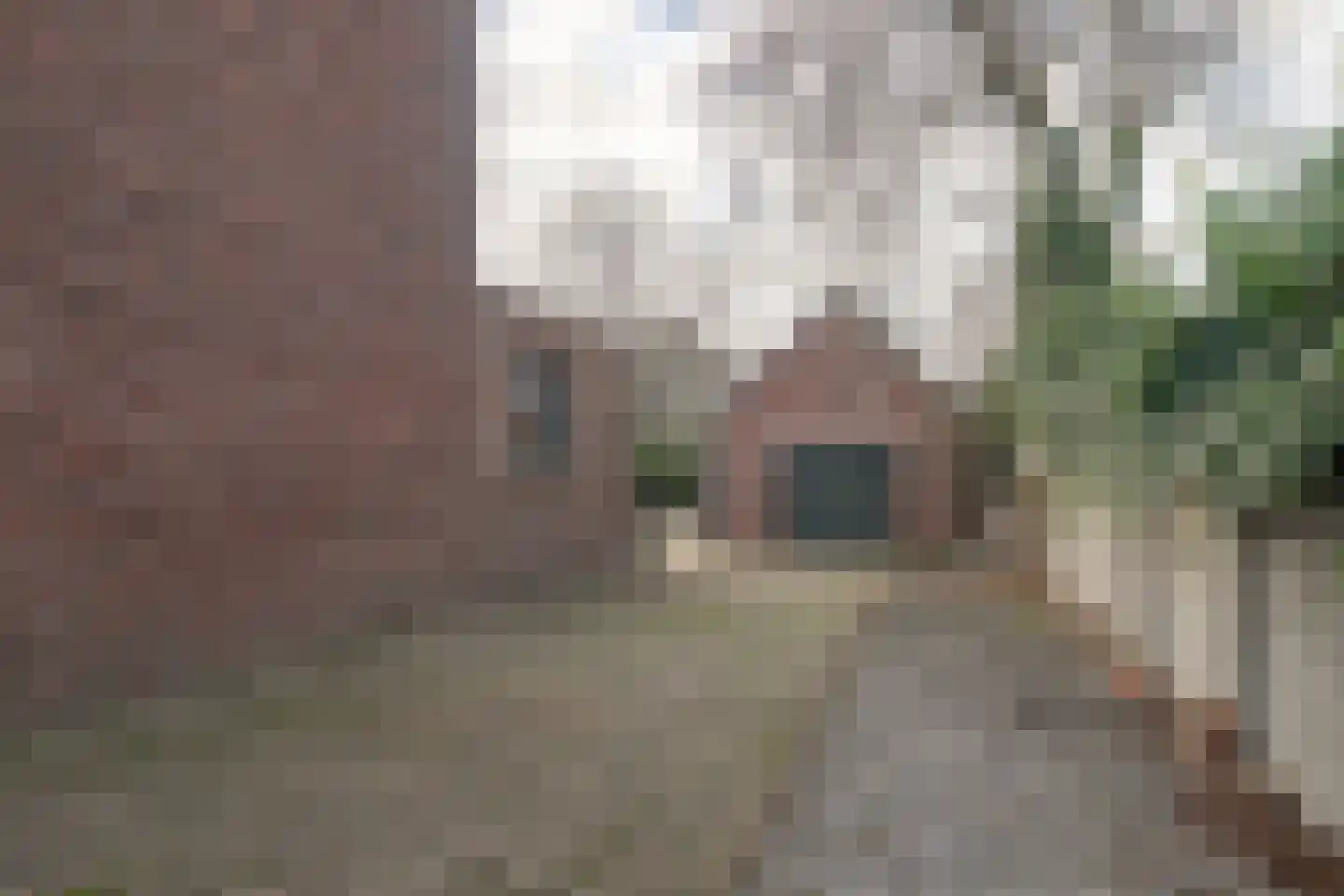 Sanderboutlaan 8 Elsloo thumbnail 23