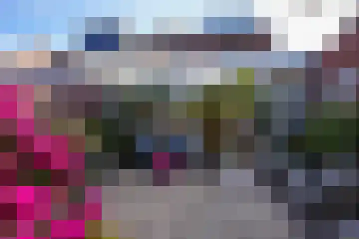 Sanderboutlaan 8 Elsloo thumbnail 26