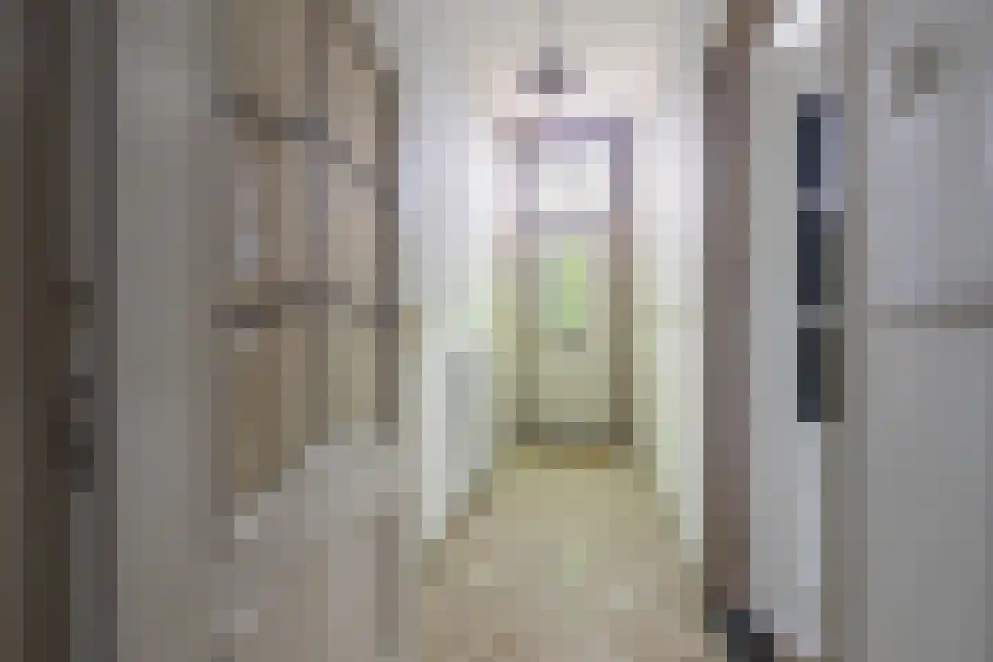 Sanderboutlaan 8 Elsloo thumbnail 4