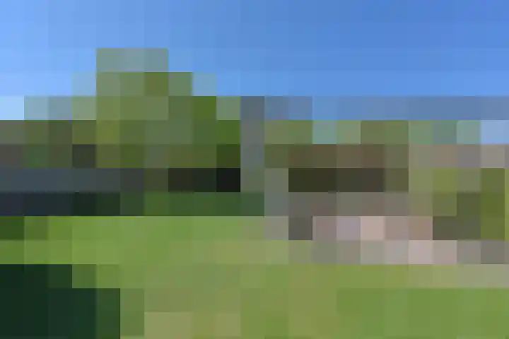 Sanderboutlaan 8 Elsloo thumbnail 8