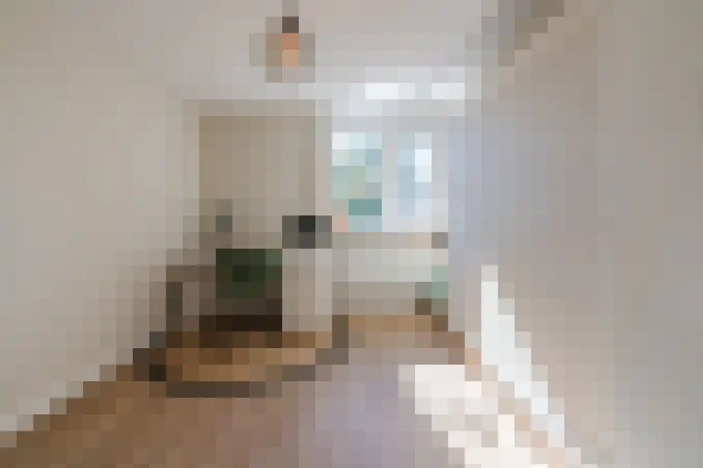 Sanderij 14 Delden thumbnail 32